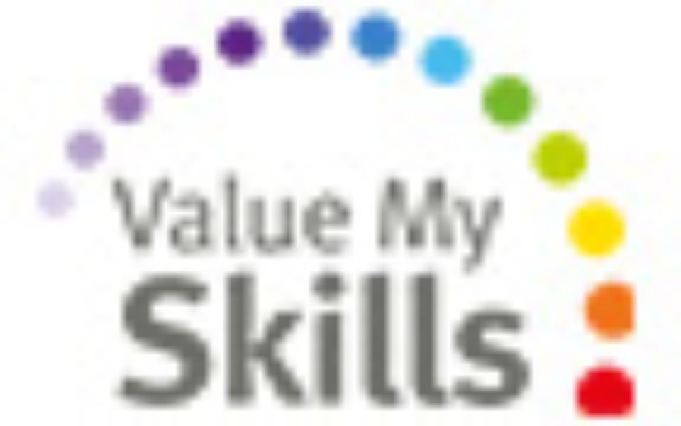 Value My Skills logo