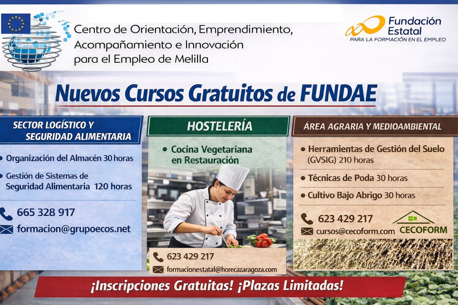 Nuevos cursos Fundae (febrero)